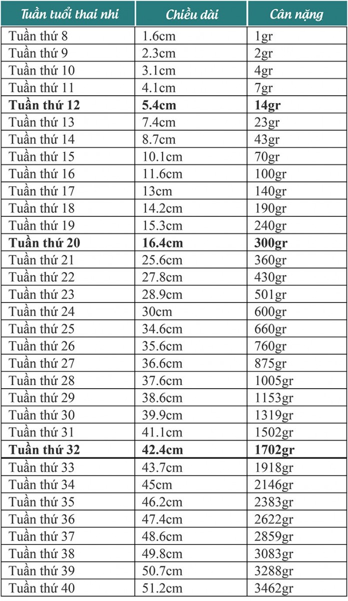 Bảng cân nặng thai nhi theo tuần của chuẩn Quốc tế