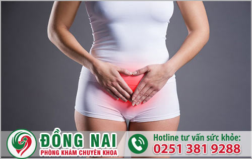 Biểu hiện và tác nhân gây sa niệu đạo nữ