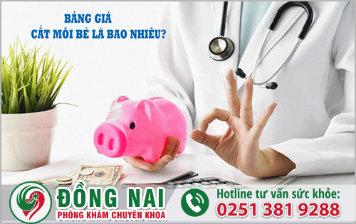 Cắt môi cô bé giá bao nhiêu?