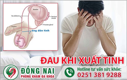 Đau khi xuất tinh có nguy hiểm không?