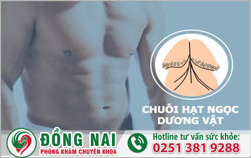 Hạt ngọc dương vật mọc ở đâu?