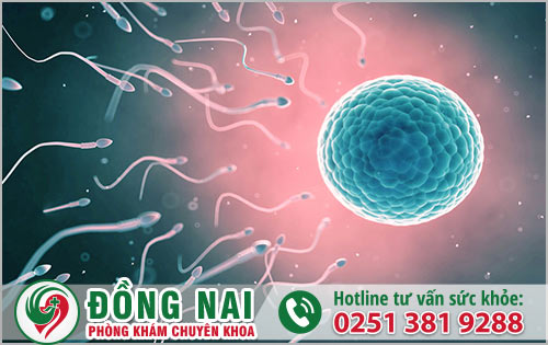 Những yếu tố dẫn đến tinh trùng yếu là gì?