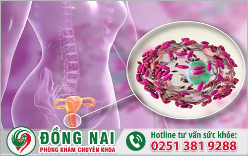Huyện Định Quán Đồng Nai có cơ sở điều trị viêm âm đạo khi mang thai không?