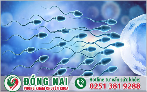 Làm sao để nâng cao chất lượng tinh trùng?