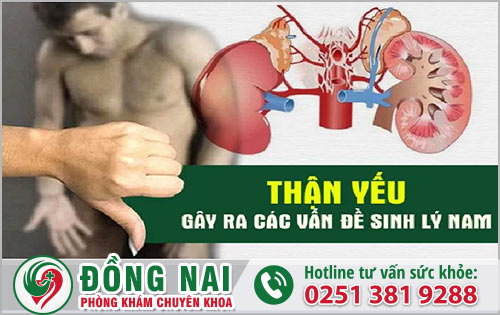 Liệu Thận yếu có ảnh hưởng đến suy giảm sinh lý đàn ông hay không?