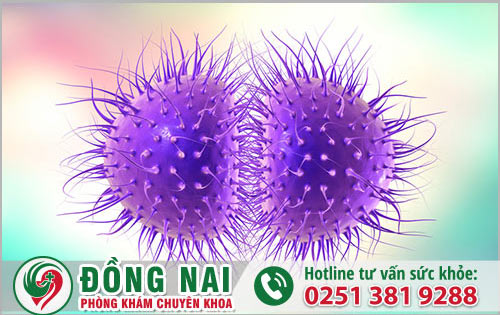 Lỡ giặc đồ chung với người bệnh lậu có bị lây nhiễm không?