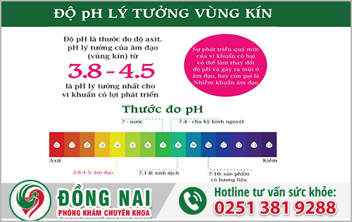 Độ pH âm đạo cân bằng