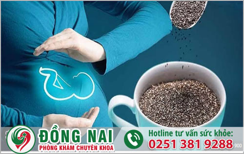 Mẹ bầu có nên ăn hạt Chia không?