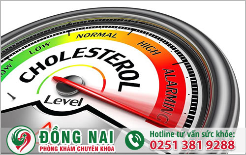 Nguyên nhân tăng Cholesterol và vì sao nam dễ mắc bệnh hơn nữ?