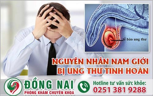 Ung thư tinh hoàn xảy ra khi các tế bào trong tinh hoàn bị đột biến