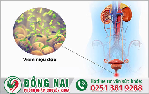 Nhức dương vật ở nam giới bởi nguyên nhân nào gây ra?