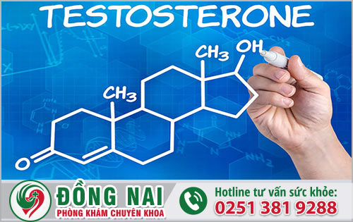 Sơ nét về Testosterone của nam giới