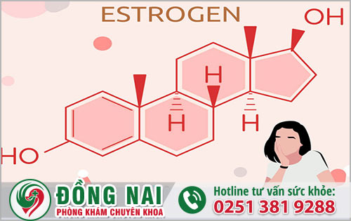 Những thực phẩm nào có khả năng tăng cường Estrogen ở phái nữ?