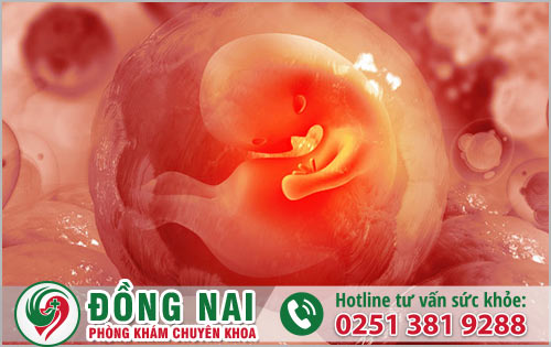 Thai ngoài ý muốn 8 tuần tuổi và quy trình hút thai chân không