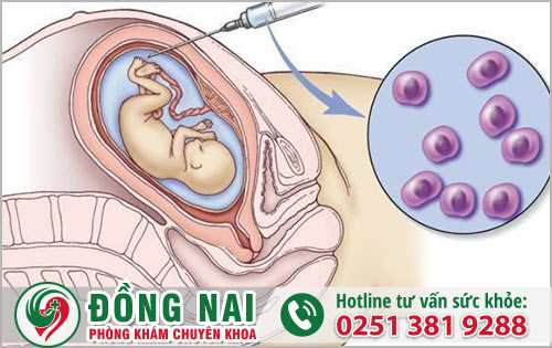 Thiếu nước ối gây nân nhiều ảnh hưởng khó lường