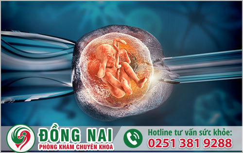 Thụ tinh trong ống nghiệm là gì