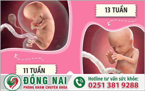 Xét nghiệm tiền sản giật khi nào